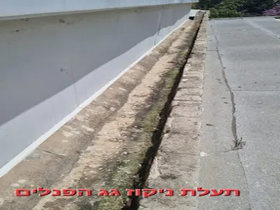 שלומי סורקיס פתרונות איטום — קבלן איטום בערד