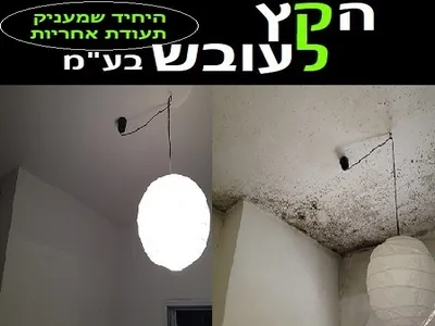 הקץ לעובש — קבלן איטום בכפר סבא
